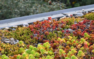 the cost of Chagford green roof installation