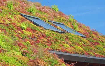 Chagford living roof systems